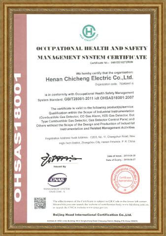 OHSAS18001（英文版）