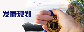 发展规划