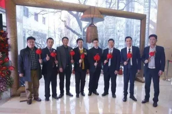 河南驰诚电气股份有限公司